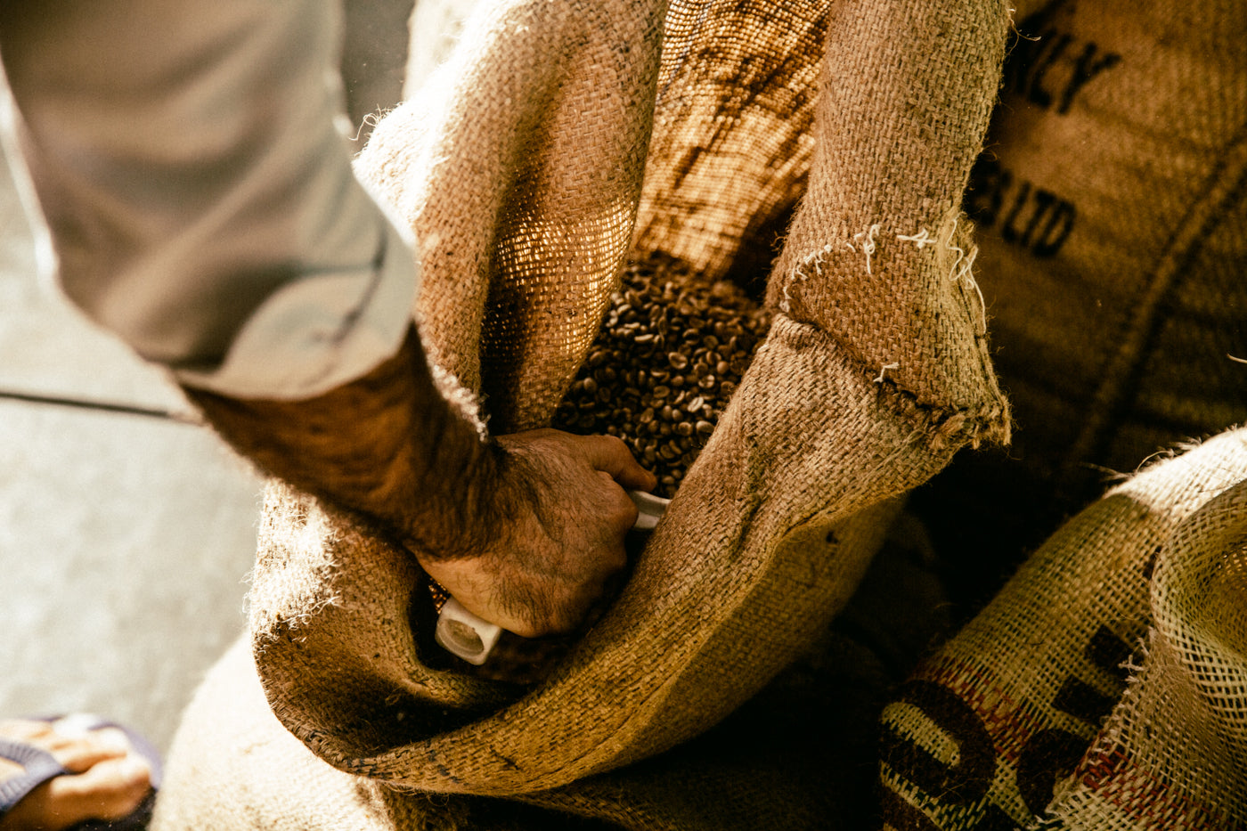 Wholesale Coffee - Contactless delivery