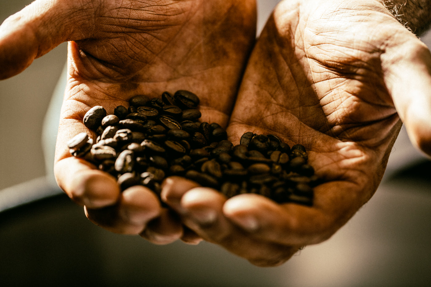 Buying roasted coffee for home – a beginner’s guide.