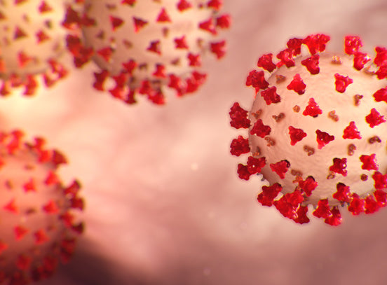 COVID-19 and Black Velvet